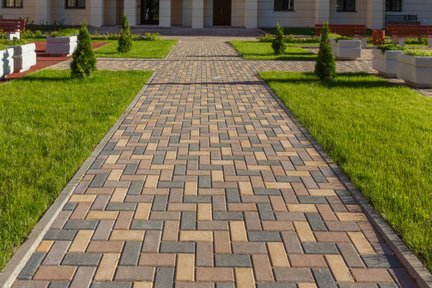 Reasons to Select Us for Your Driveway Paving Requirements in Burt, MI